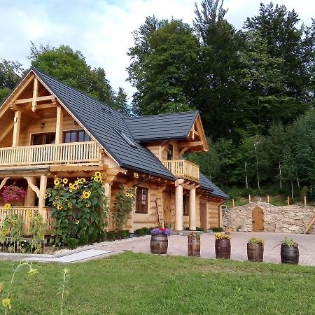 U Janusza I Grazyny Apartment Ściegny Екстериор снимка