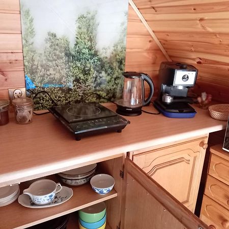 U Janusza I Grazyny Apartment Ściegny Екстериор снимка